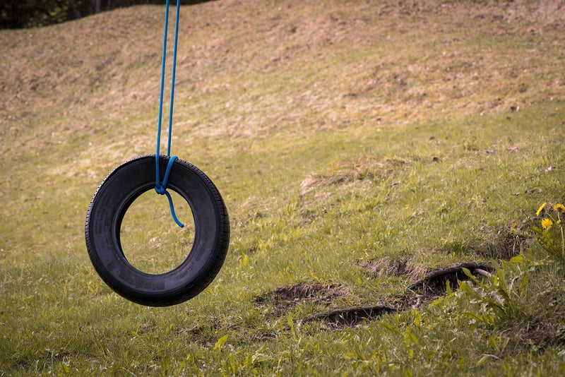 Tire Swing Garden Decor